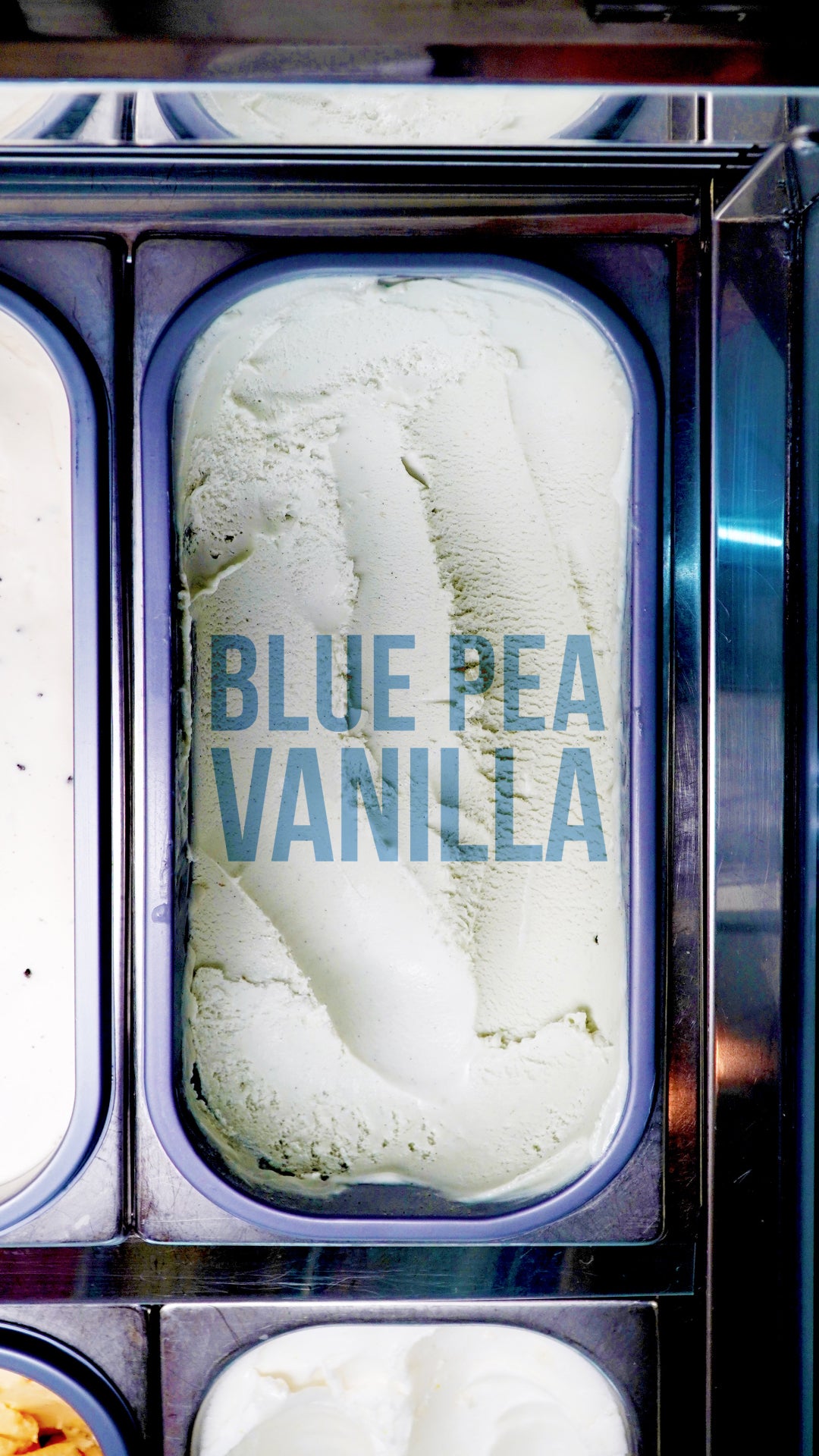 Blue Pea Vanilla