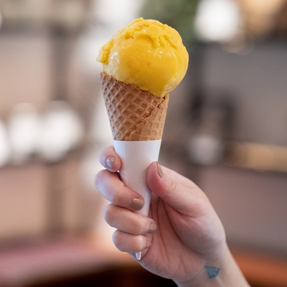 Mango Passionfruit Sorbet: A Tropical Symphony of Sweet and Tangy Delight