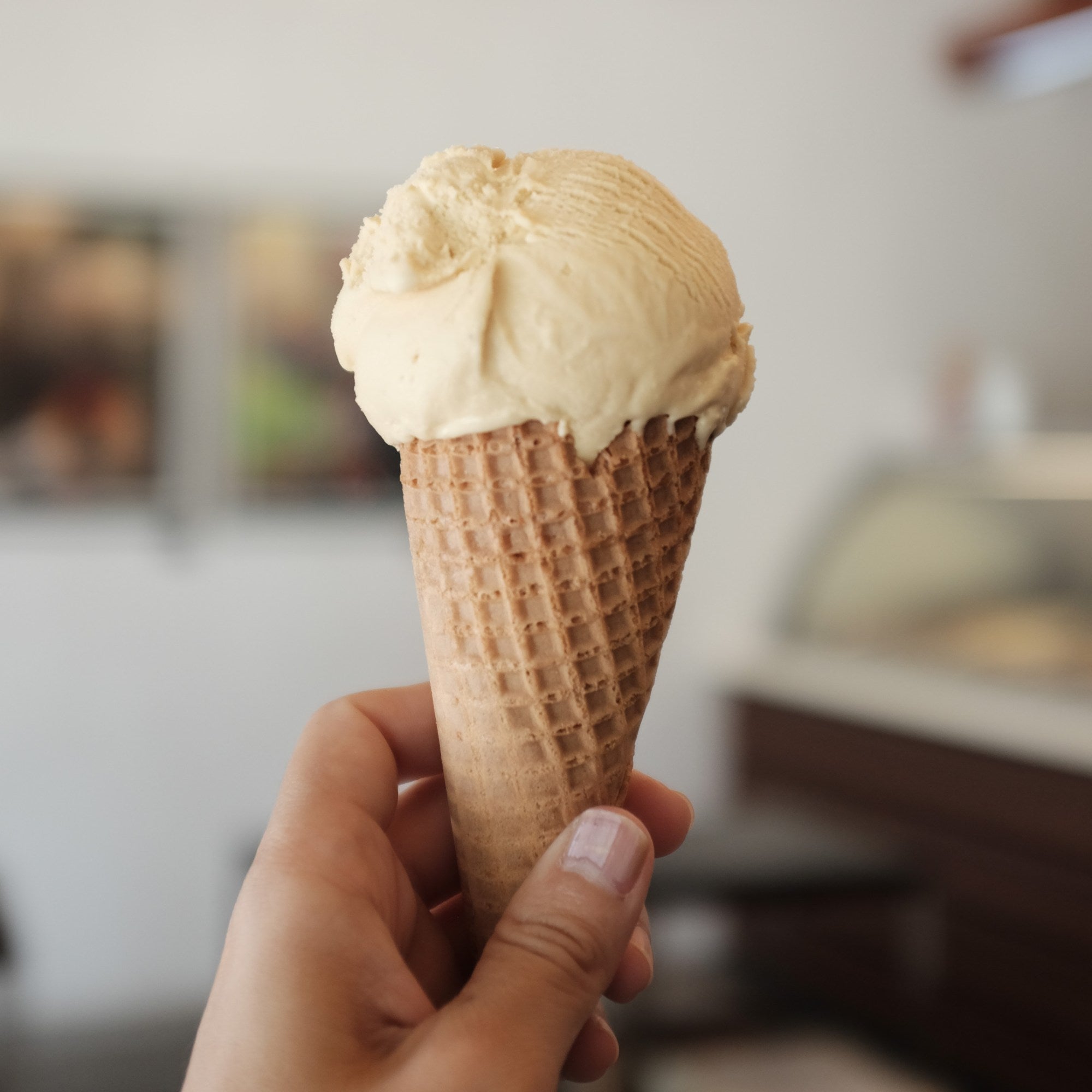 Sea Salt Gula Melaka Ice Cream: A Tropical Symphony of Flavour