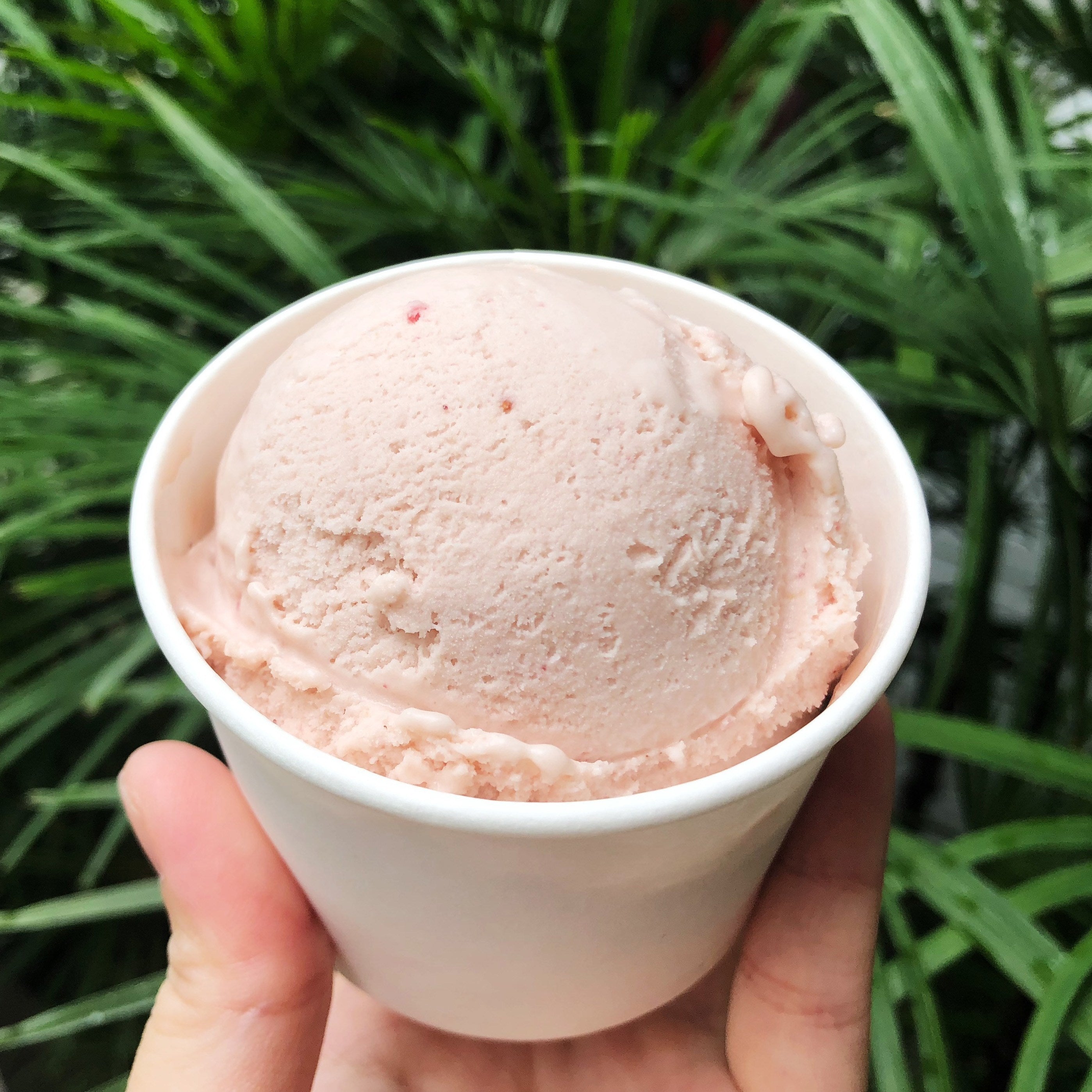 Summer Strawberries Ice Cream: A Burst of Summer Sweetness
